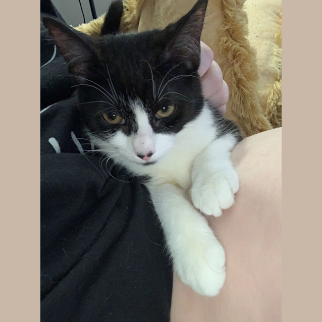 Photo of Adorable Aimee