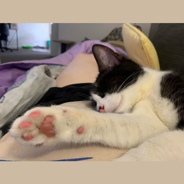 Photo of Adorable Aimee