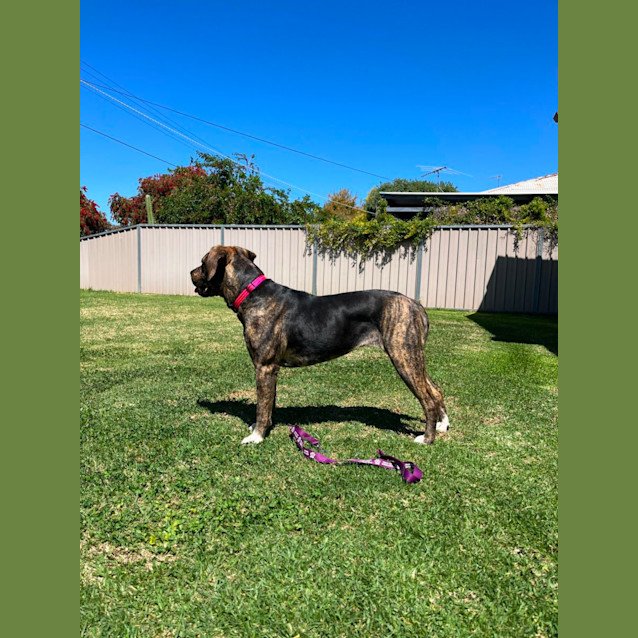 Photo of Sophie