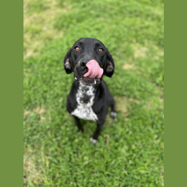 Photo of Ella