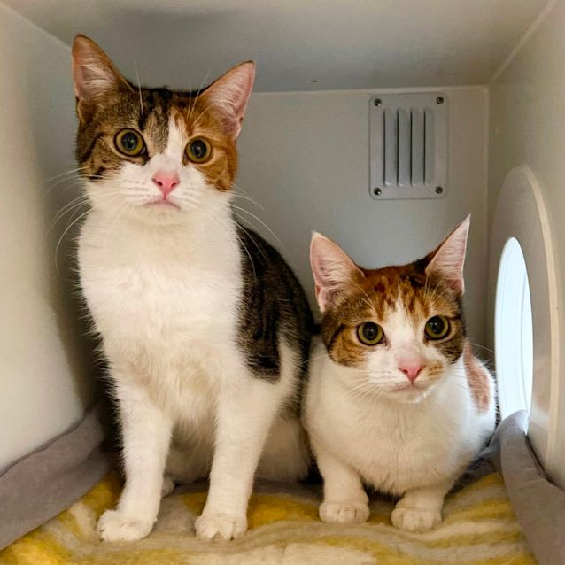 Photo of Annie And Josie