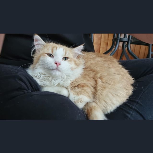 Photo of Fry