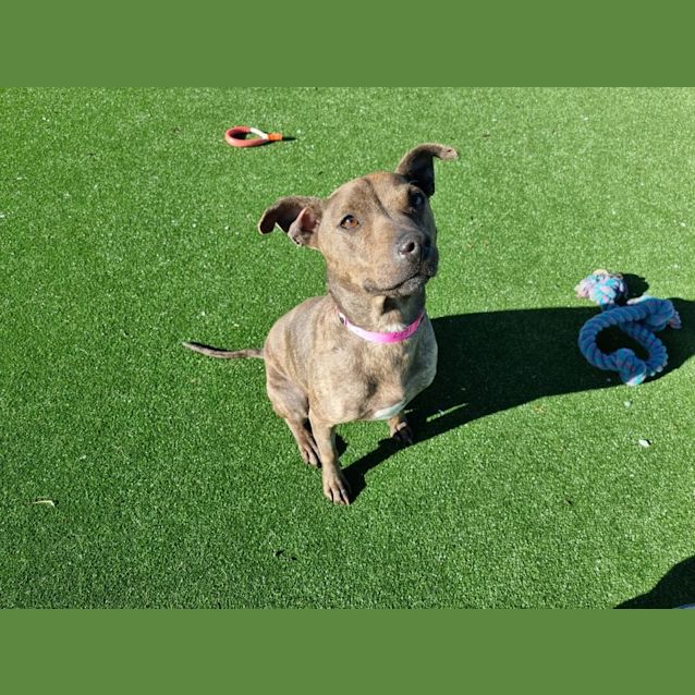 Photo of Wendy Imp 1480