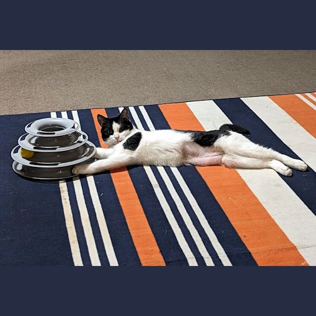 Photo of Bambi & Sandy