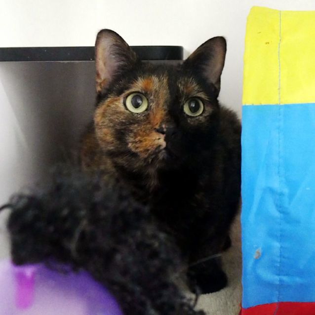 Photo of Molly Rsuk004916