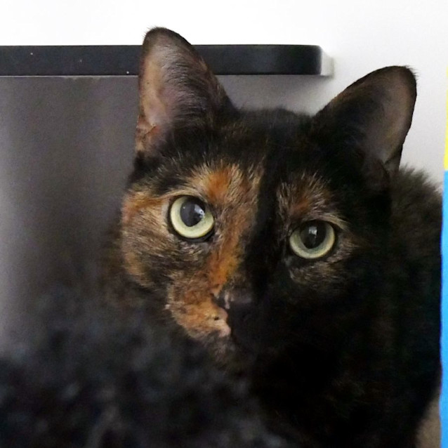 Photo of Molly Rsuk004916