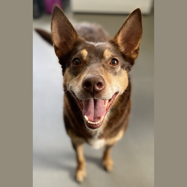 Photo of Winnie