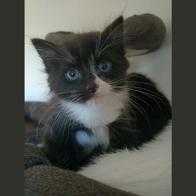 Photo of Ash