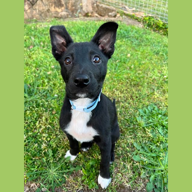 Photo of Murphy