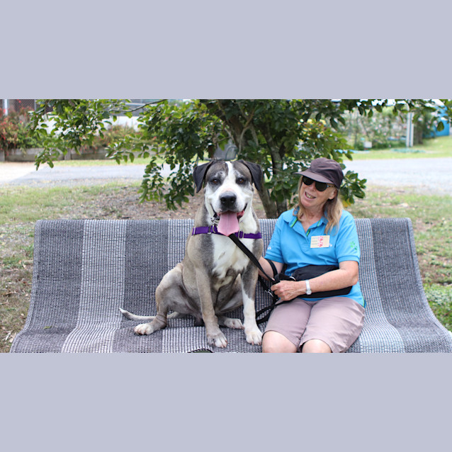 Photo of Roxstar