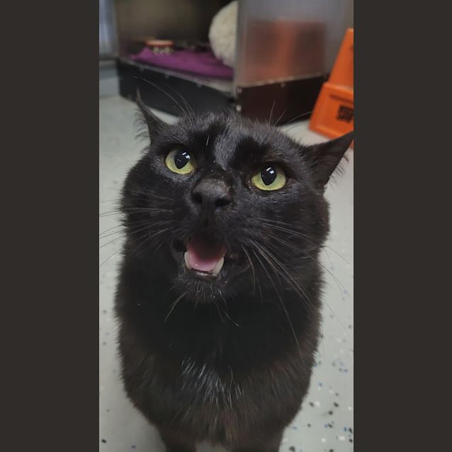 Photo of Todd
