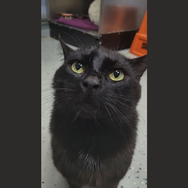 Photo of Todd