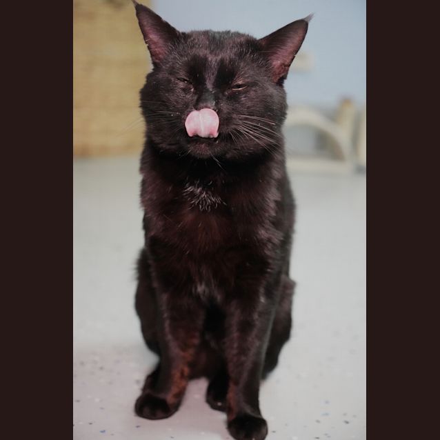 Photo of Todd