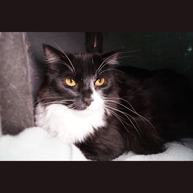 Photo of Ash