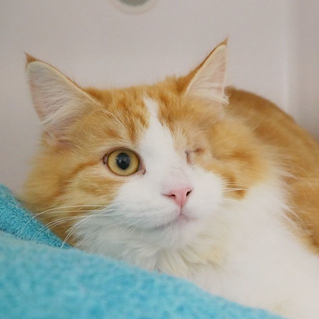 Photo of Marshall Sua011663