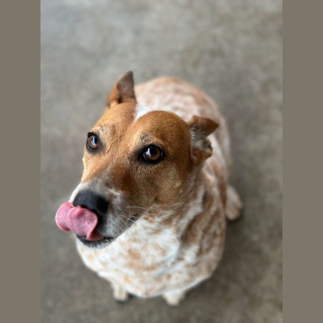 Photo of Marley