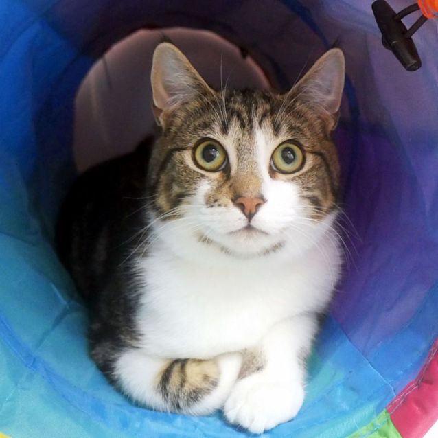 Photo of Luffy (Loo Fy) Suk011721