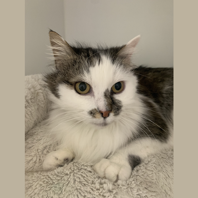 Photo of Milli
