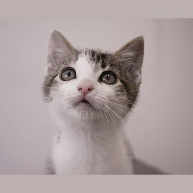 Photo of Churro