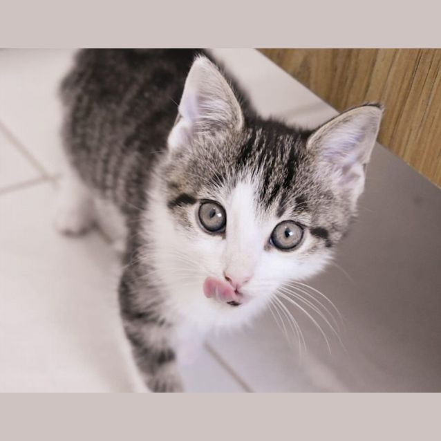 Photo of Churro