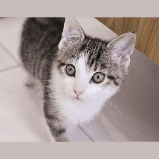 Photo of Churro