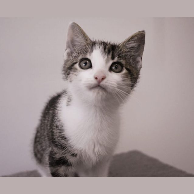 Photo of Churro