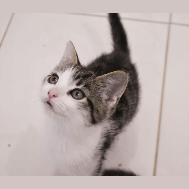 Photo of Churro