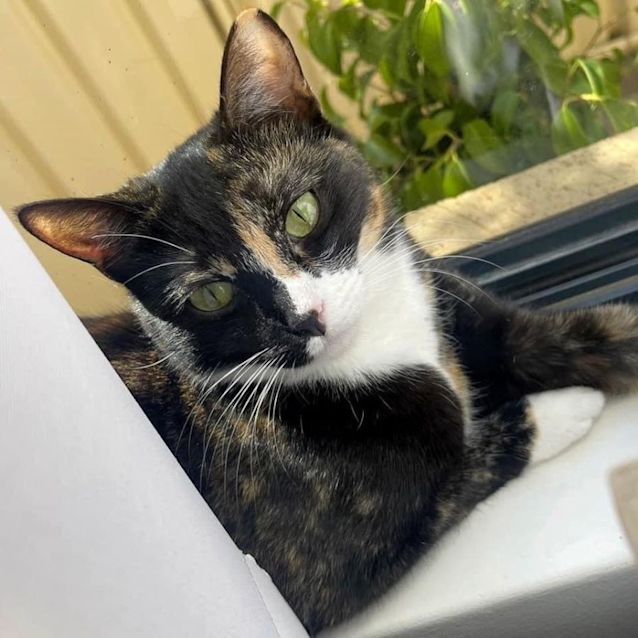 Photo of 8052   Ariel