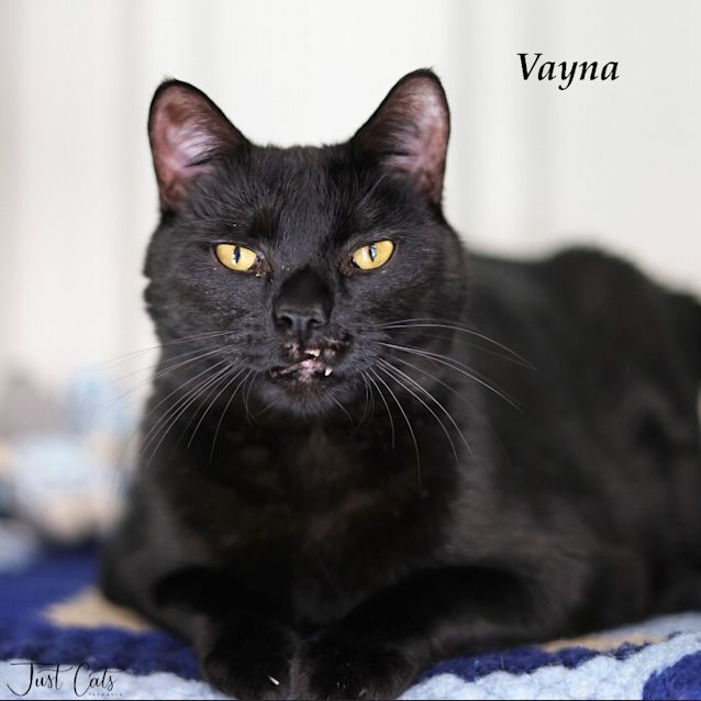 Photo of Vayna