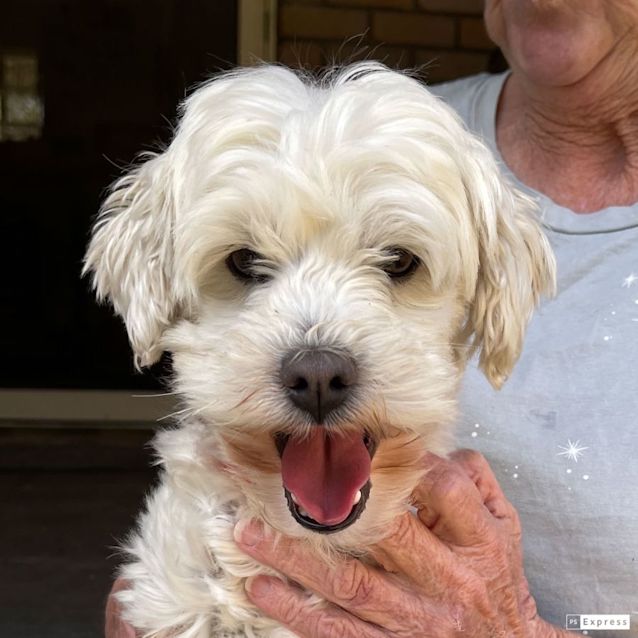 Photo of Harley