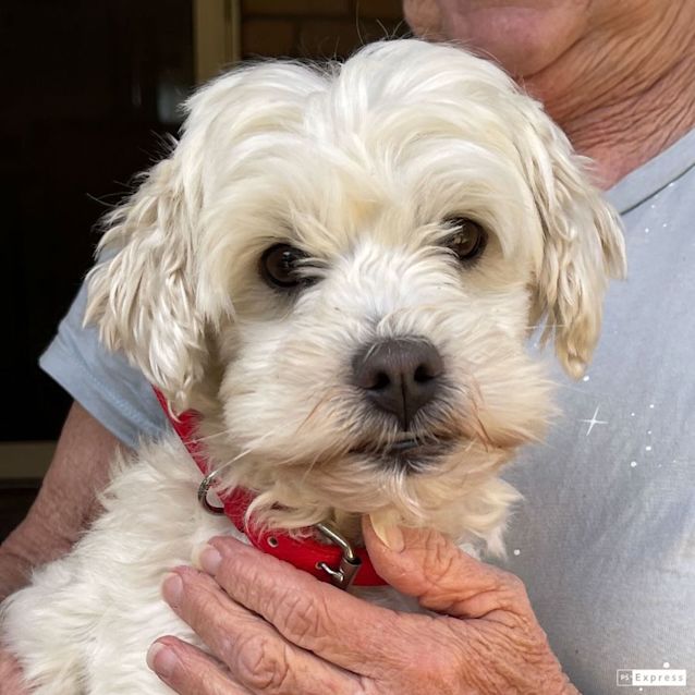 Photo of Harley