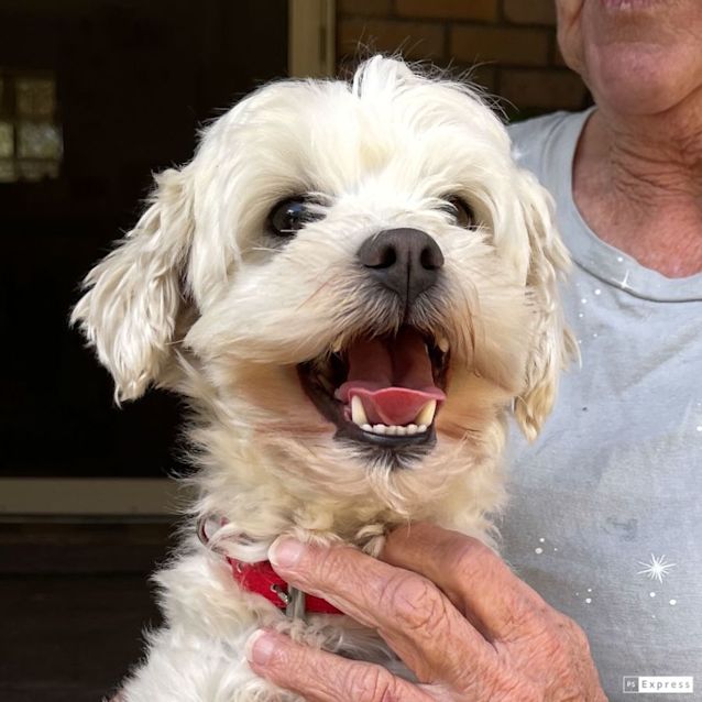 Photo of Harley