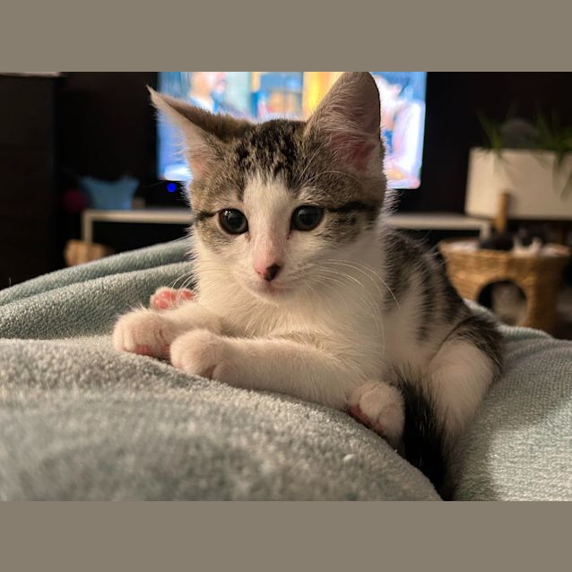 Photo of Tiny