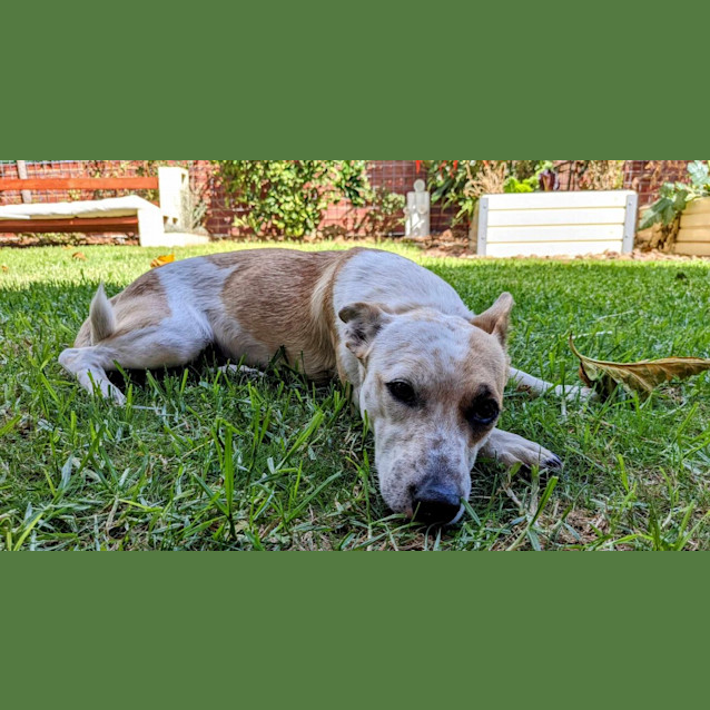 Photo of Maggie