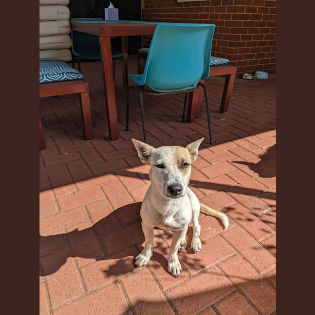 Photo of Maggie