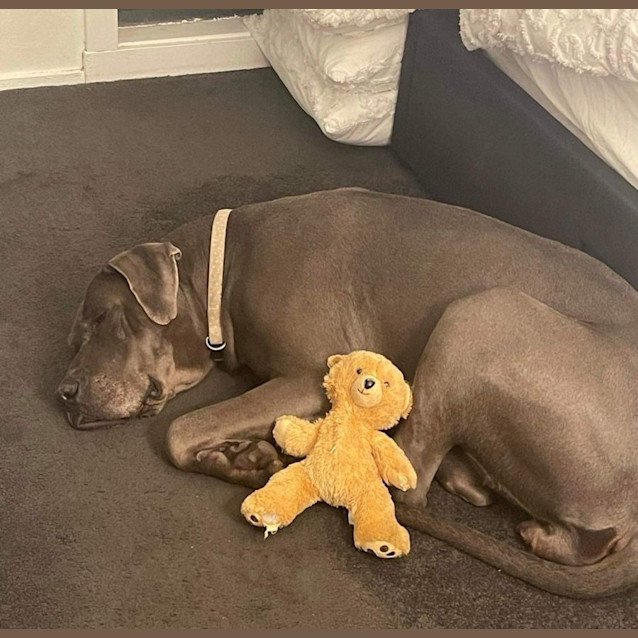 Photo of Frosty Xenakis