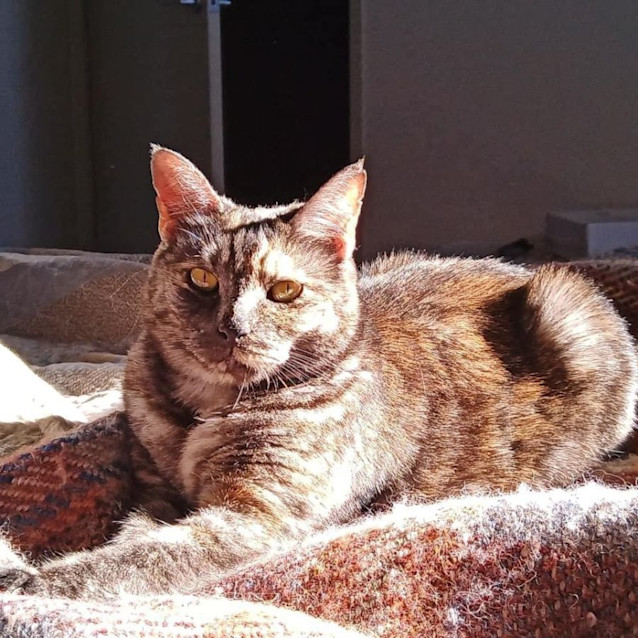 Photo of 6587   Myla