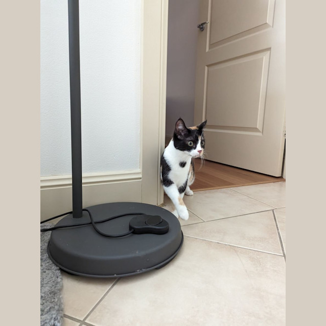 Photo of Miss Honey 🍯 