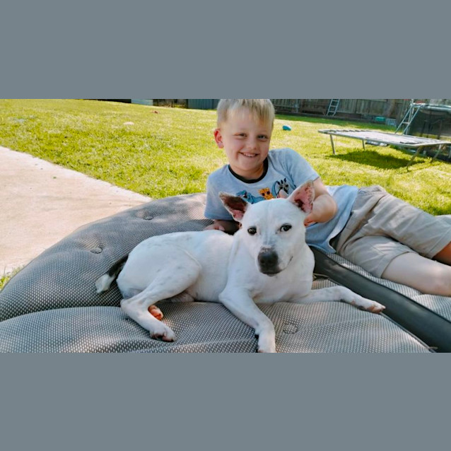 Photo of Buster