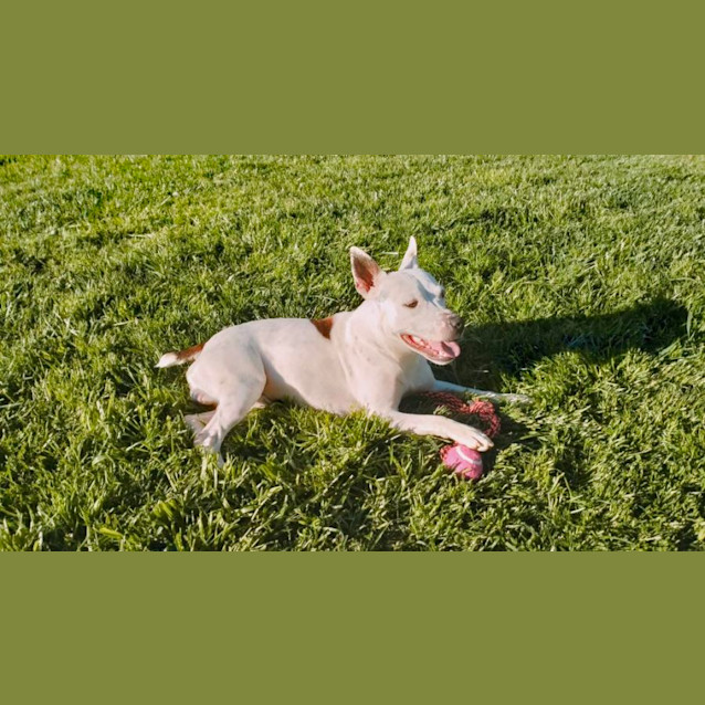 Photo of Buster