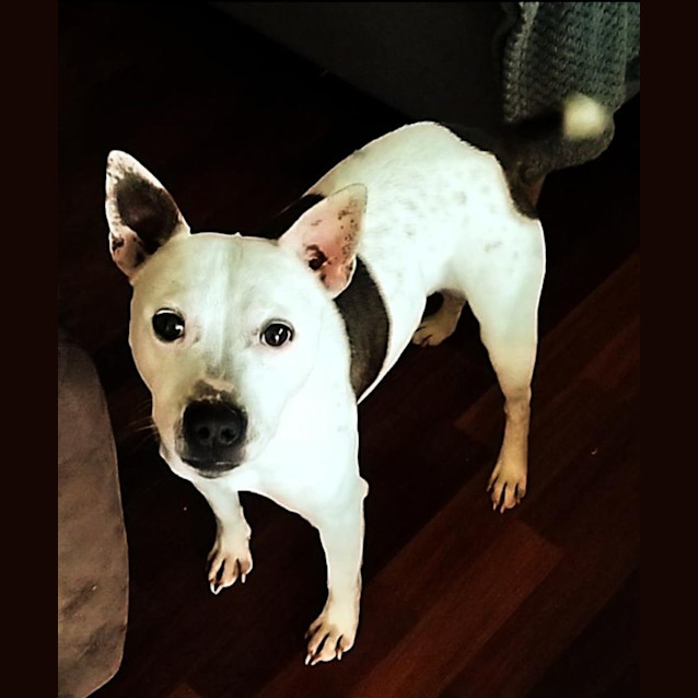 Photo of Buster