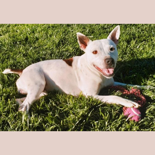 Photo of Buster