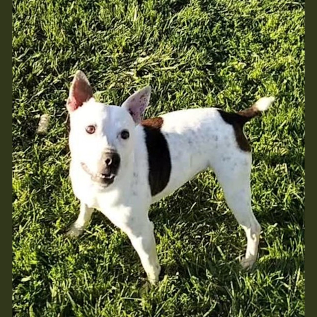 Photo of Buster