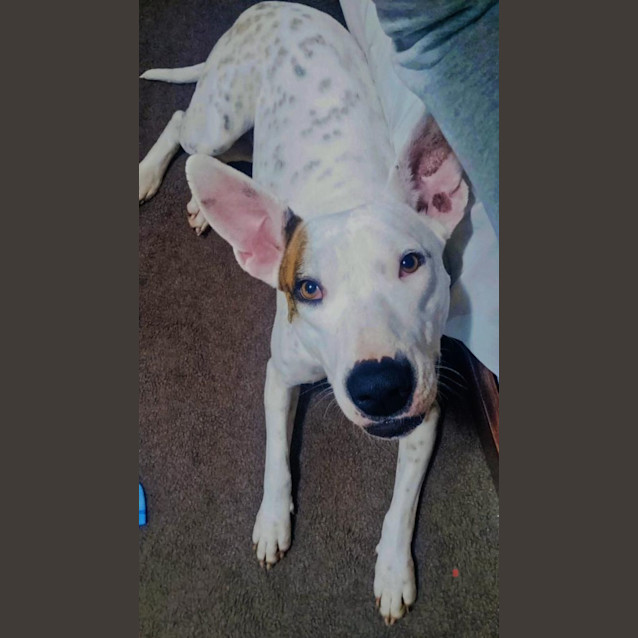 Photo of Buster