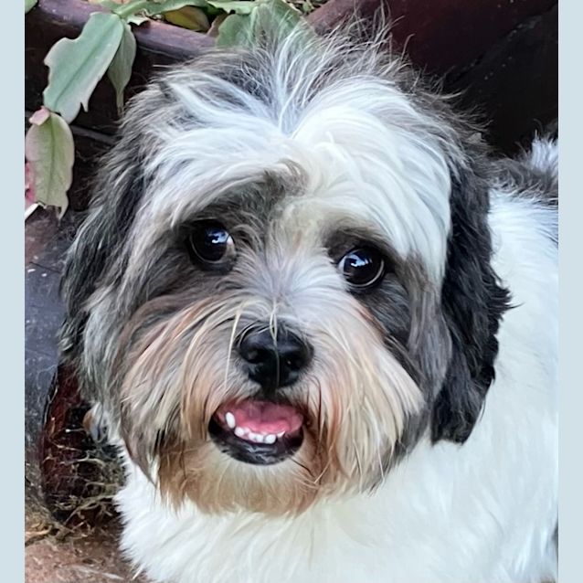 Photo of Billy Boy
