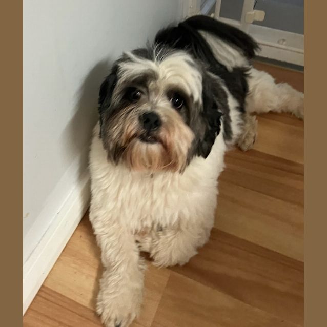 Photo of Billy Boy