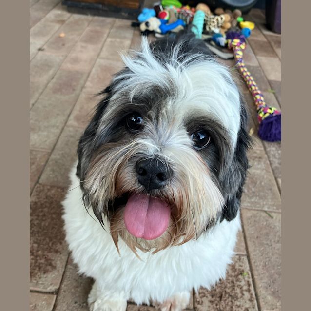 Photo of Billy Boy