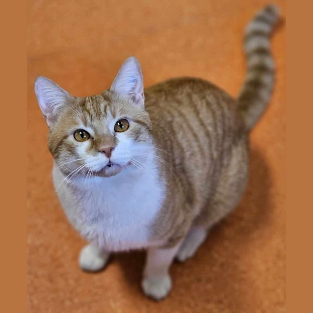 Photo of Marlowe