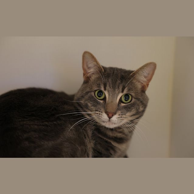 Photo of Smoochie