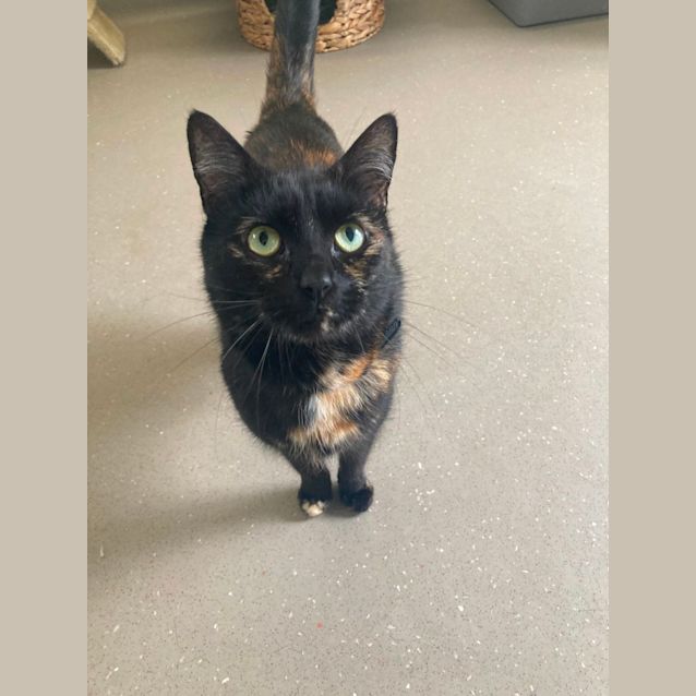 Photo of C1227 Bonnie